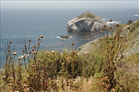 Big Sur pobřeží